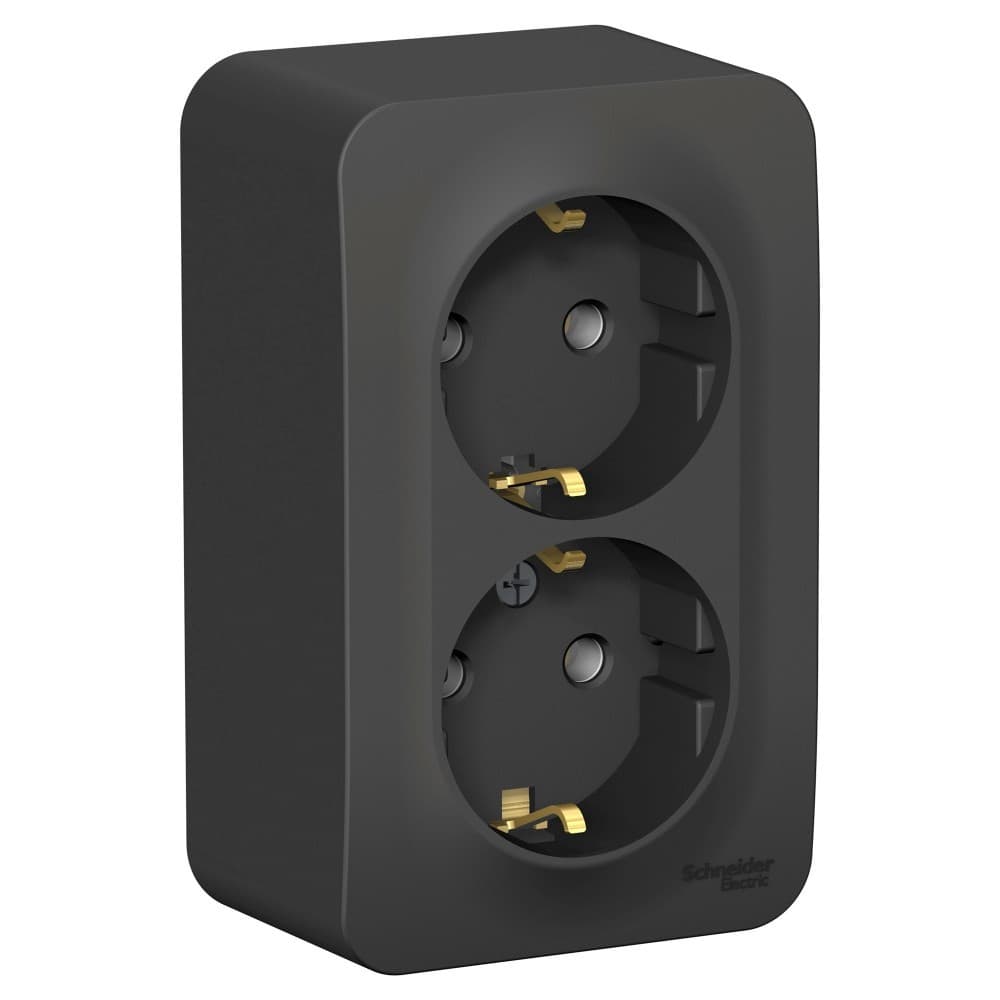 Розетка двойная с заземлением Systeme Electric Blanca BLNRA010216, цвет антрацит, два евроразъема с заземлением.