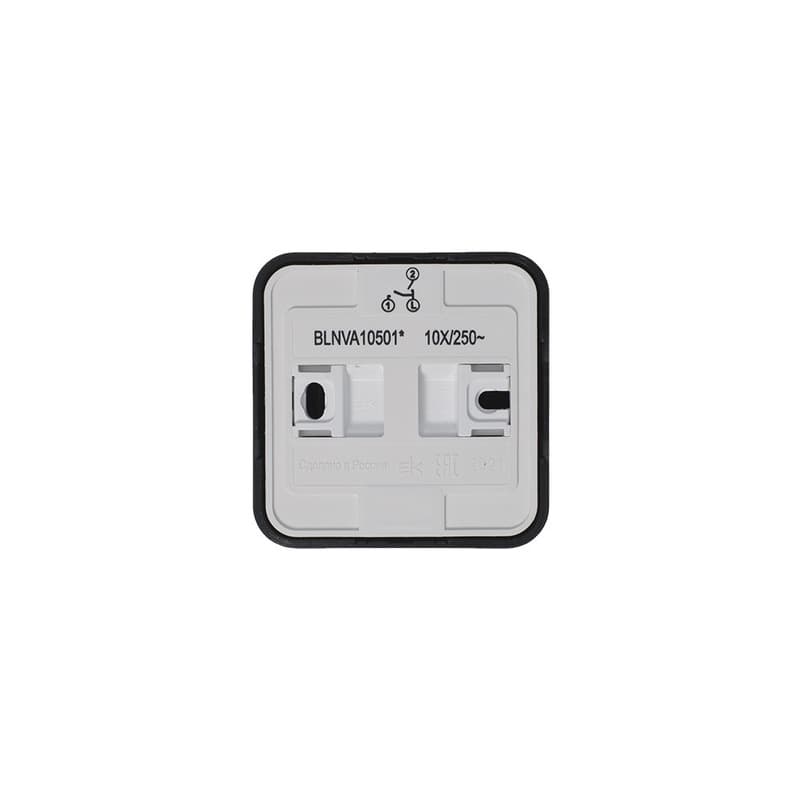 Выключатель 2-клавишный Systeme (Schneider) Electric Blanca BLNVA105016 (антрацит)