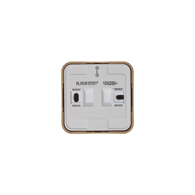 Выключатель 1-клавишный Systeme (Schneider) Electric Blanca BLNVA101015 (ясень)
