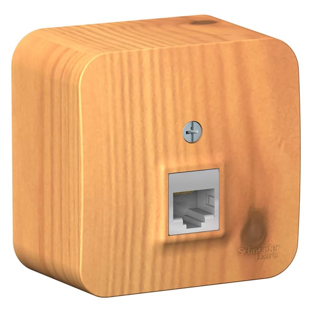 Розетка компьютерная (интернет) Systeme Electric Blanca BLNIA045005, цвет ясень, разъем RJ45 Cat.5e.