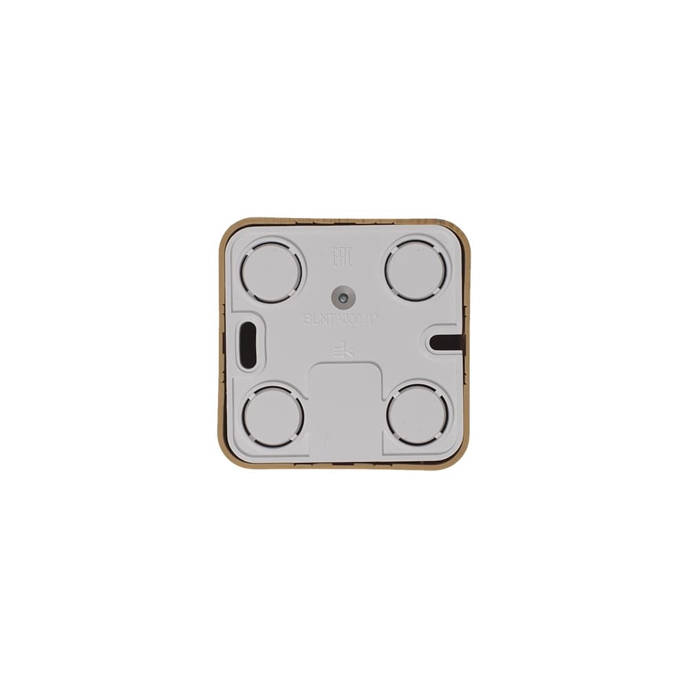 Розетка TV оконечная Systeme (Schneider) Electric Blanca BLNTA000015 (ясень)