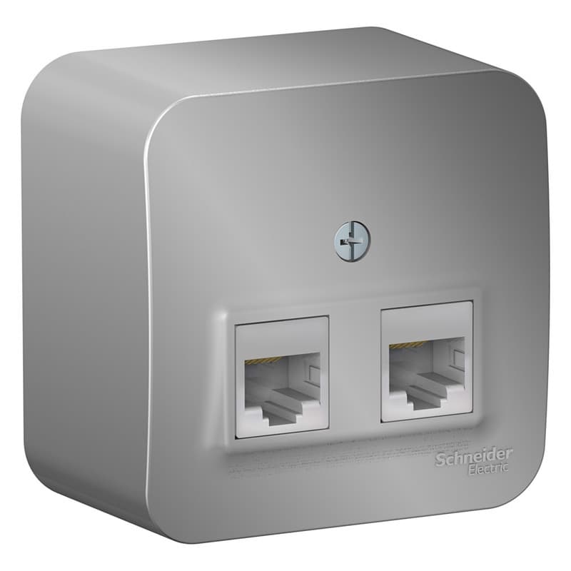 Розетка двойная компьютерная (интернет) Systeme Electric Blanca BLNIA045453, цвет алюминий, два порта RJ45 Cat.5e, для скрытого монтажа.