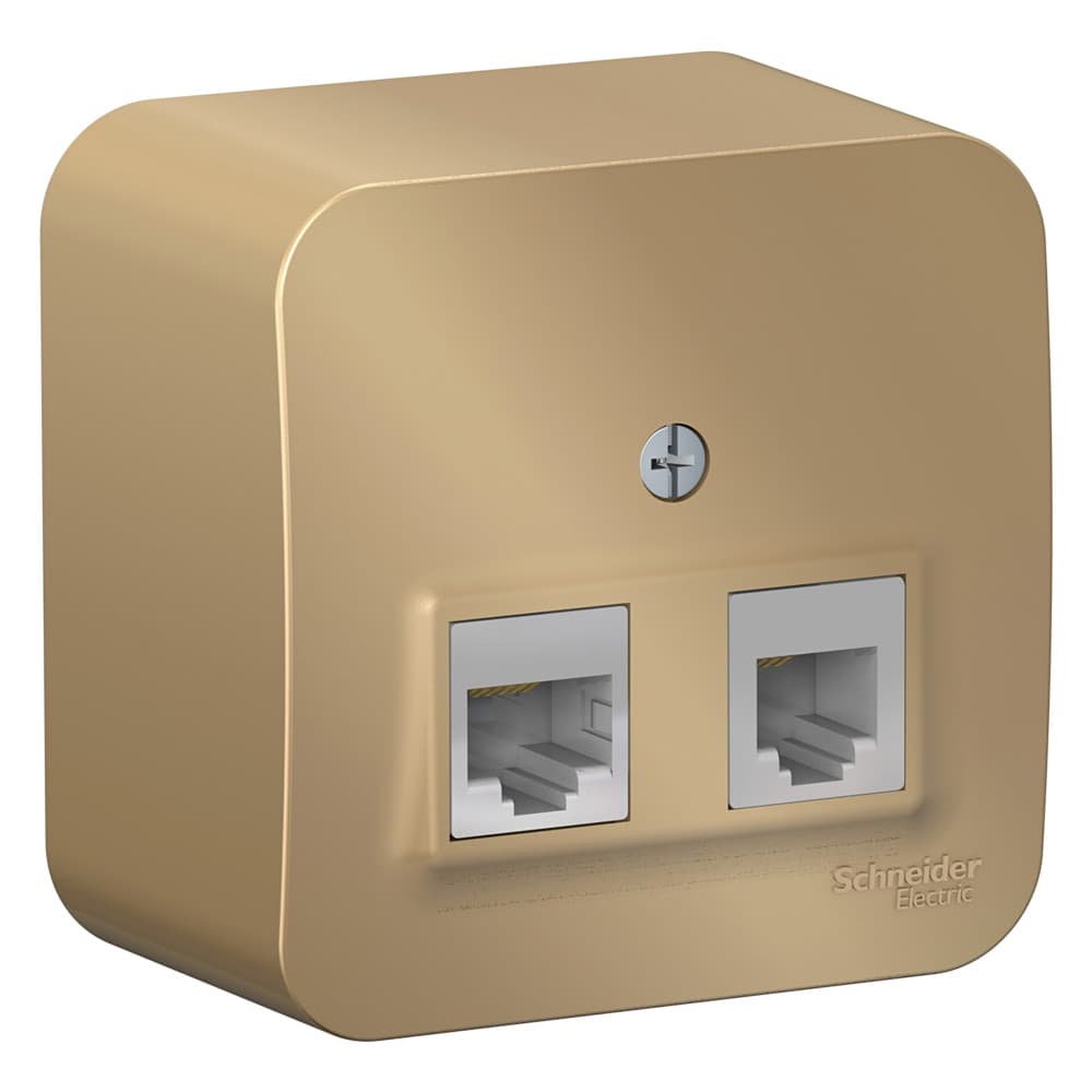 Розетка двойная комбинированная телефонная и компьютерная Systeme Electric Blanca BLNIA045114, цвет титан, разъемы RJ11 и RJ45.