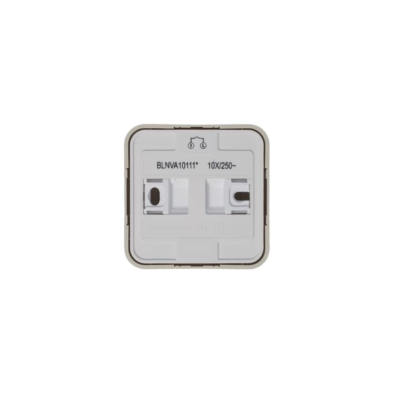 Выключатель 2-клавишный Systeme (Schneider) Electric Blanca BLNVA105017 (бежевый)