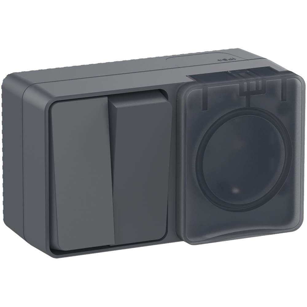 Блок комбинированный Systeme Electric AtlasDesign Profi54 ATN544074, розетка 16А с заземлением и защитными шторками, выключатель двухклавишный 10А, IP54, накладной монтаж, антрацит