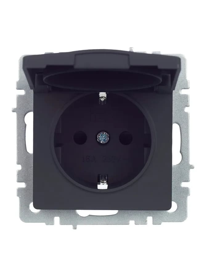 Розетка с заземлением, защитными шторками и крышкой IEK BRITE BR-R16-16-44-K53 (графит), фото 2